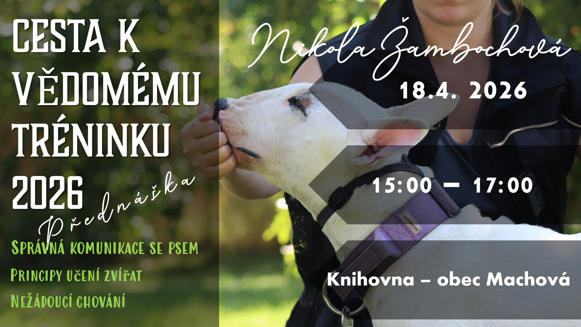 Žena v parku drží štěně v náručí, štěně má fialový postroj, rozostřené zelené pozadí.